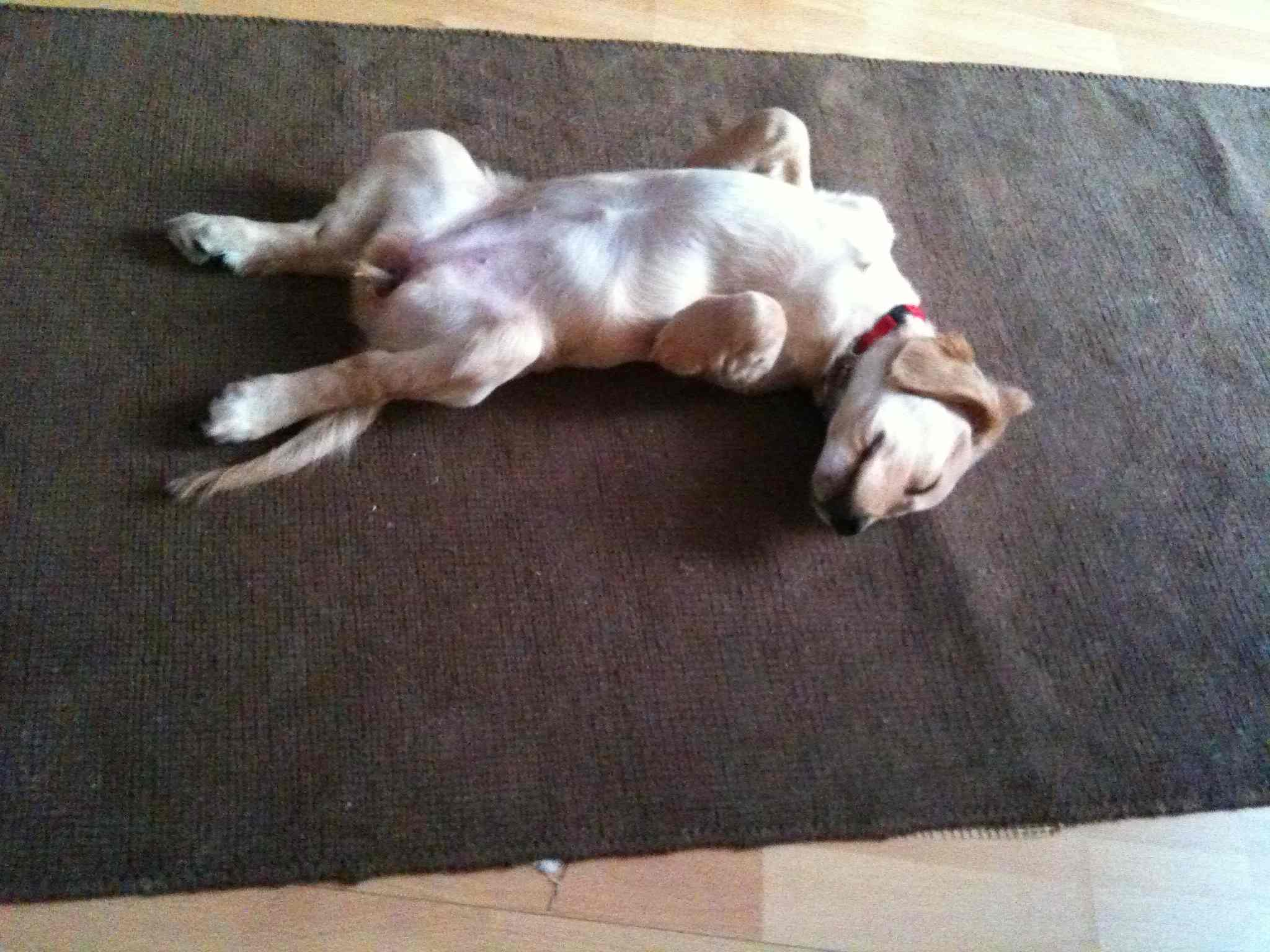 Nach der Schule_02.jpg