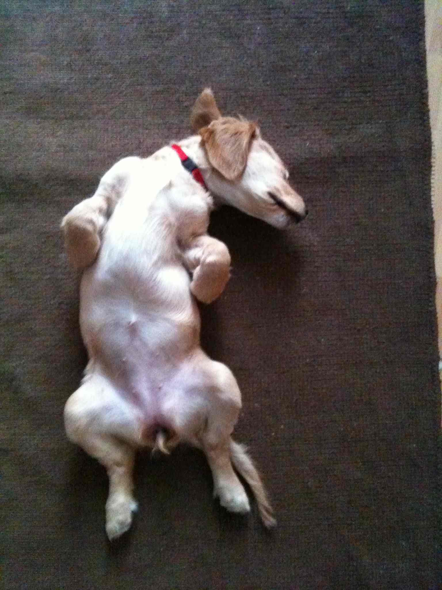 Nach der Schule_03.jpg